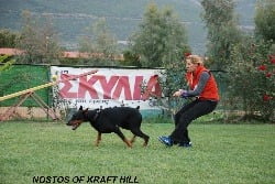 NOSTOS OF KRAFT HILL.jpg